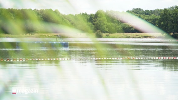 Ein idyllischer Badesee, im Vordergrund unscharf Gräser im Bild. © Screenshot 