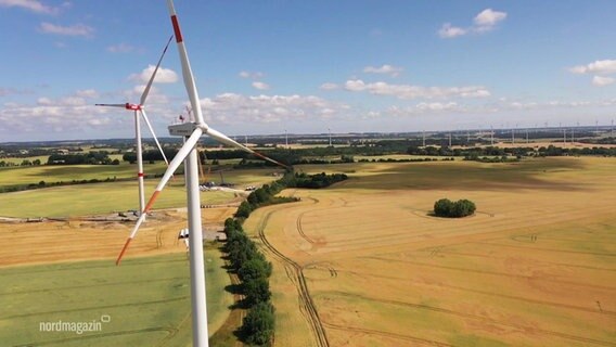 Windkraftanlagen stehen auf Feldern. © Screenshot 