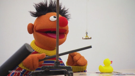 Ernie von der Sesamstraße tritt auf. © Screenshot 