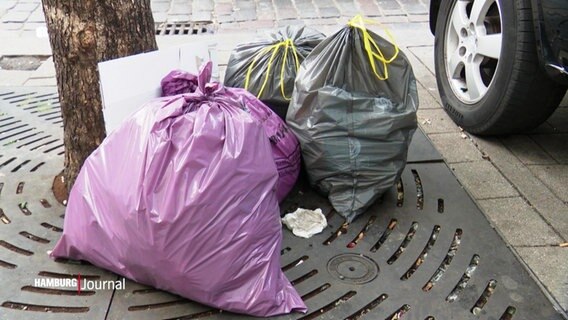 Mehrere Müllsäcke liegen auf der Straße. © Screenshot 