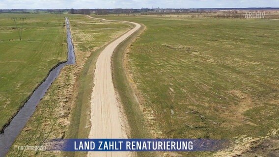 Eine öde Grünfläche mit Bach und Weg. © Screenshot 