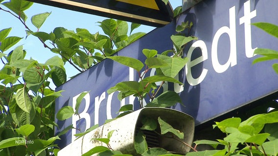 Schild am Bahnhof von Brokstedt. © Screenshot 