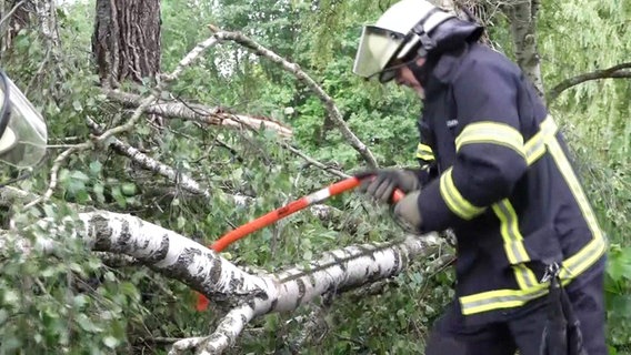 Ein Feuerwehrmann sägt an einem Baum. © Screenshot 