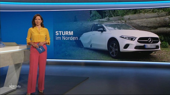 Romy Hiller moderiert NDR Info extra "Sturm im Norden" am 05.07.2023. © Screenshot 