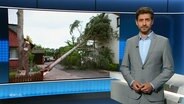 Daniel Bröckerhoff moderiert die Spätsausgabe NDR Info. Im Hintergrund ist ein Foto eines vom Sturm "Poly" umgestürzten Baum zu sehen. © Screenshot 