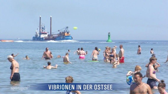 Menschen stehen in der Ostsee. © Screenshot 