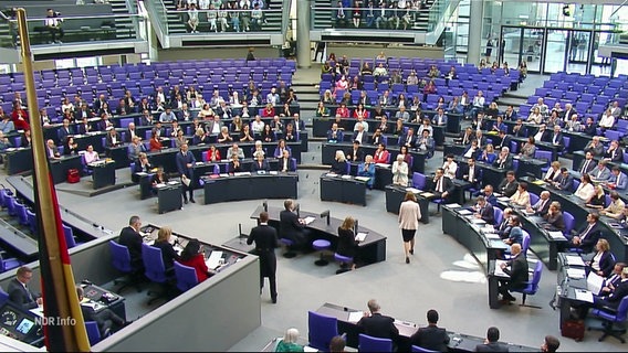 Bundestag © Screenshot 