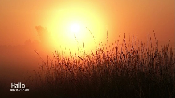 Sonnenaufgang. © Screenshot 
