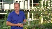 Thilo Tautz moderiert das Nordmagazin. © Screenshot 