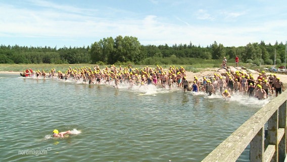 Eine Gruppe Schwimmer:innen startet. © Screenshot 