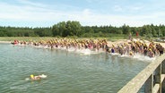 Eine Gruppe Schwimmer:innen startet. © Screenshot 