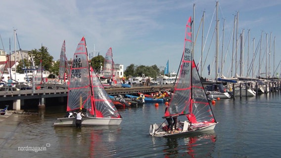 Segelboote vor einem Hafenkai in Warnemünde. © Screenshot 