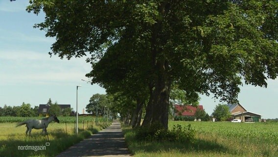 Eine Straße führt in ein Dorf. © Screenshot 
