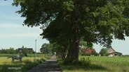 Eine Straße führt in ein Dorf. © Screenshot 