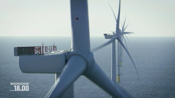 Windräder in einem Off-Shore Windpark. © Screenshot 