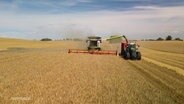 Landwirtschaftliche Maschinen bei der Gerstenernte. © Screenshot 