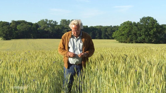 Ökobauer Heinrich Graf von Bassewitz steht in einem Getreidefeld. © Screenshot 