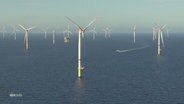 Ein Offshore-Windpark. © Screenshot 