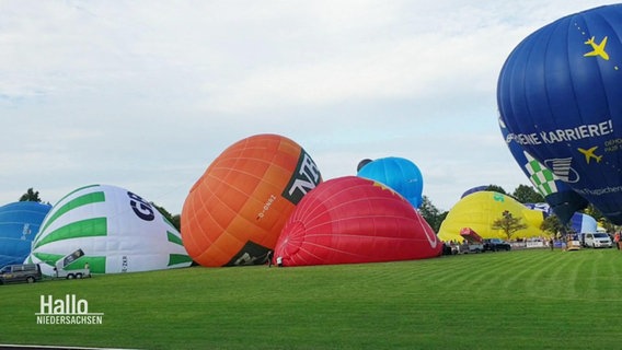 Beim Barnstorfer Ballonfahrer-Festival liegen Ballons auf einer Wiese. © Screenshot 