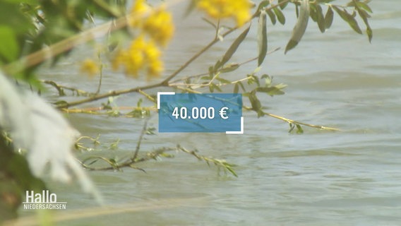 40.000 Euro als Zahl dargestellt © Screenshot 