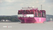 Das pinke Containerschiff "One Innovation" auf der Elbe. © Screenshot 