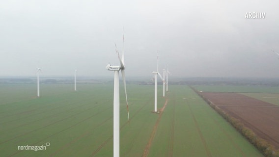 Windkrafträder stehen auf einem Feld. © Screenshot 