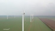 Windkrafträder stehen auf einem Feld. © Screenshot 