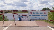 Schlagbaum mit einem Schild: "Die FÄhre fährt zur Zeit nicht wegen Niedrigwasser!" Im HIntergrund die Elbe und eine stillliegende Elbfähre. © Screenshot 