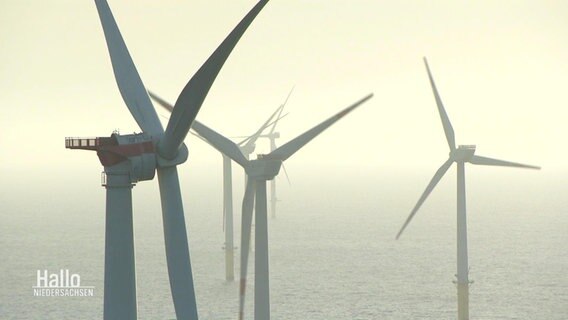 Mehrere Windräder stehen in einem Offshore-Windpark im Wasser. © Screenshot 