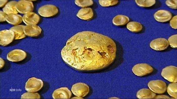 Mehrere Goldmünzen liegen auf blauem Untergrund. © Screenshot 