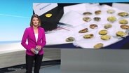 Frauke Rauner moderiert das Nordmagazin. © Screenshot 
