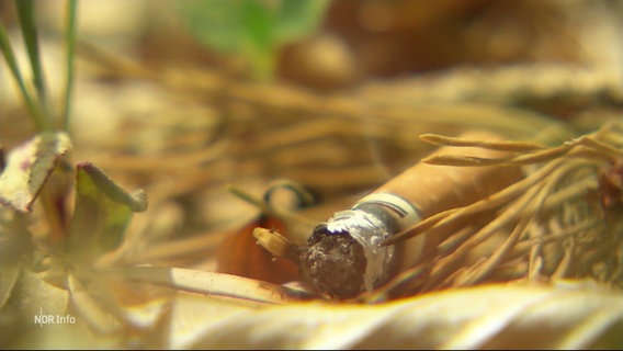 Eine weggeworfene Zigarette löst ein Feuer aus. © Screenshot 