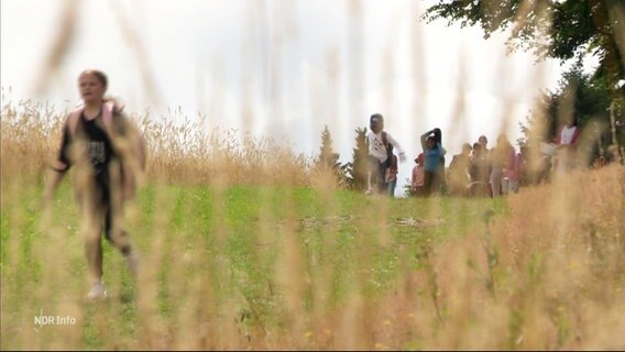 Im Vordergrund Gräser, im Hintergrund leicht unscharf laufen Kinder über eine Wiese. © Screenshot 