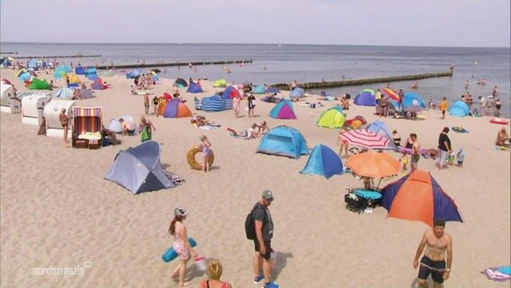 An einem Sandstrand haben mehrere Besuchende sich Muschelzettel aufgebaut. © Screenshot 