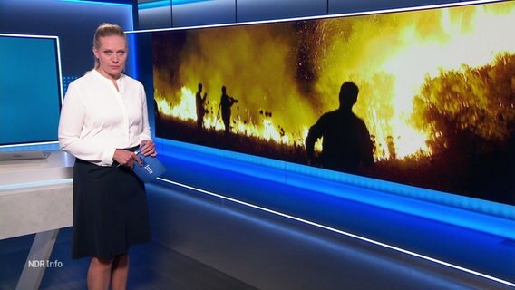 Juliane Möcklinghoff © Screenshot 