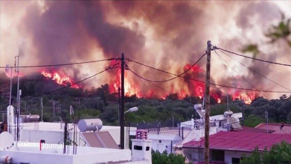 Starke Waldbrände auf Rhodos. © Screenshot 