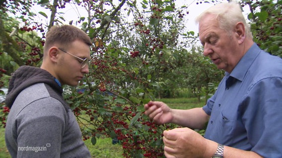 Zwei Menschen vor einem Kirschbaum. © Screenshot 