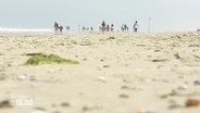 Bodennaher Blick über einen Sandstrand: In der Ferne gehen mehrere Spazierende den Strand entlang. © Screenshot 