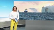 Moderatorin Frauke Rauner im Studio © Screenshot 