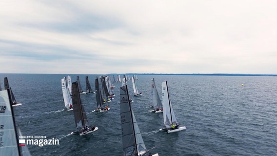 Mehrere Segel-Katamarane sind in einer Flotte auf dem offenen Meer bei einer Segelregatta unterwegs. © Screenshot 