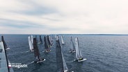 Mehrere Segel-Katamarane sind in einer Flotte auf dem offenen Meer bei einer Segelregatta unterwegs. © Screenshot 