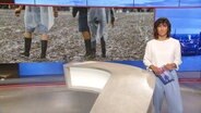 Theresa Pöhls moderiert das Hamburg Journal 18.00. © Screenshot 