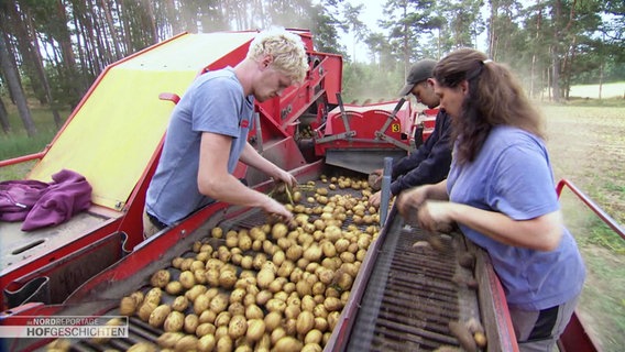 Christine Bremer steht mit weiteren Helfern auf dem Kartoffelroder und sortiert Kartoffeln, die frisch aus der Erde gezogen worden sind. © Screenshot 
