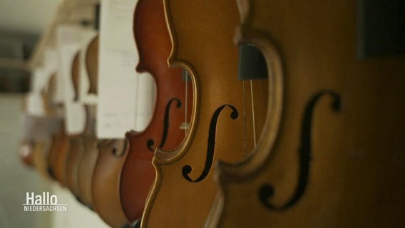Mehrere Geigen hängen hintereinander an einer Wand. © Screenshot 