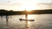 Stand-Up-Paddler beim paddeln auf einem See in der Abendsonne. © Screenshot 