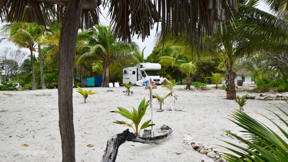 Ein Wohnmobil am Strand inmitten von Palmen und tropischer Umgebung. © Screenshot 