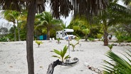 Ein Wohnmobil am Strand inmitten von Palmen und tropischer Umgebung. © Screenshot 