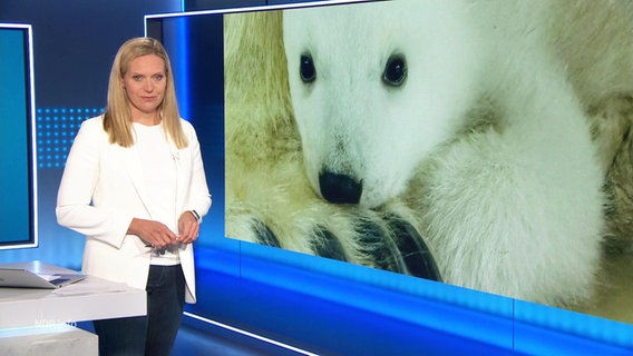 Juliane Möcklinghoff moderiert NDR Info. © Screenshot 