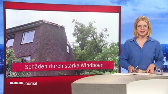 Merlin van Rissenbeck © Screenshot 