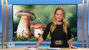 Tina Hermes moderiert Niedersachsen 18:00. © Screenshot 